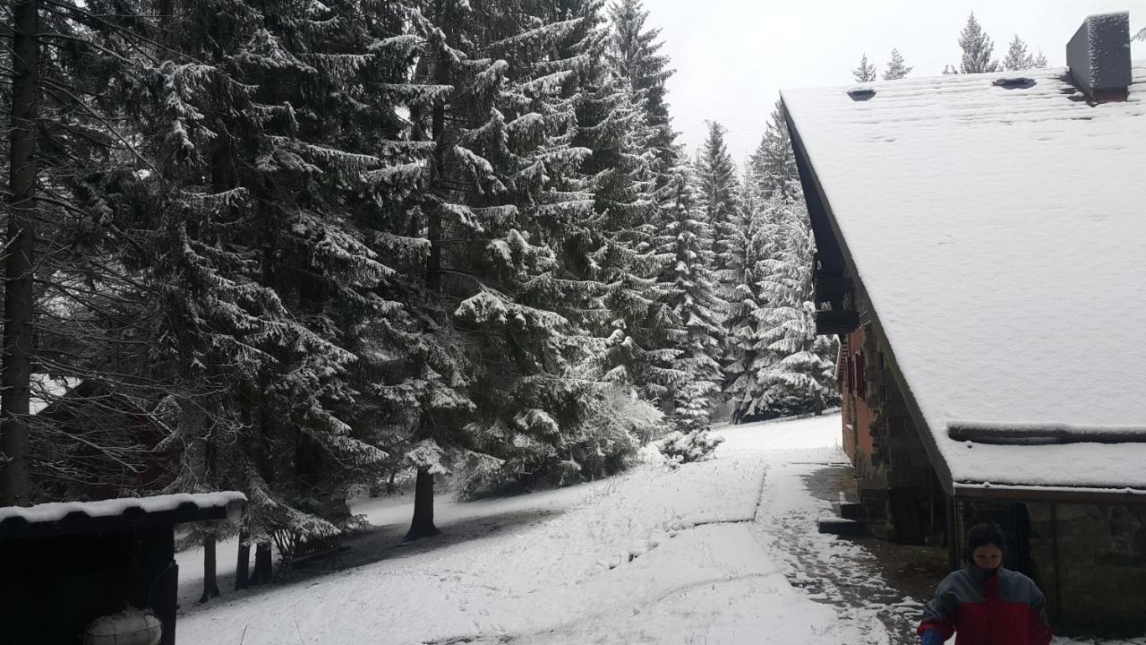 Chata Kiki Malino Brdo Ruzomberok Eksteriør bilde